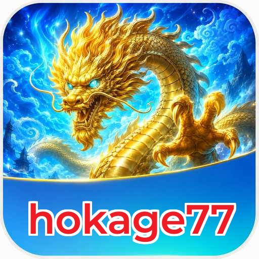 hokage77 Technical Info